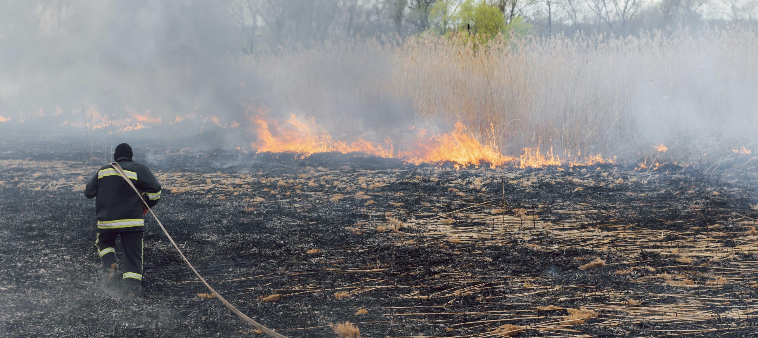 NSW to commercialise and export bushfire-resilient technology