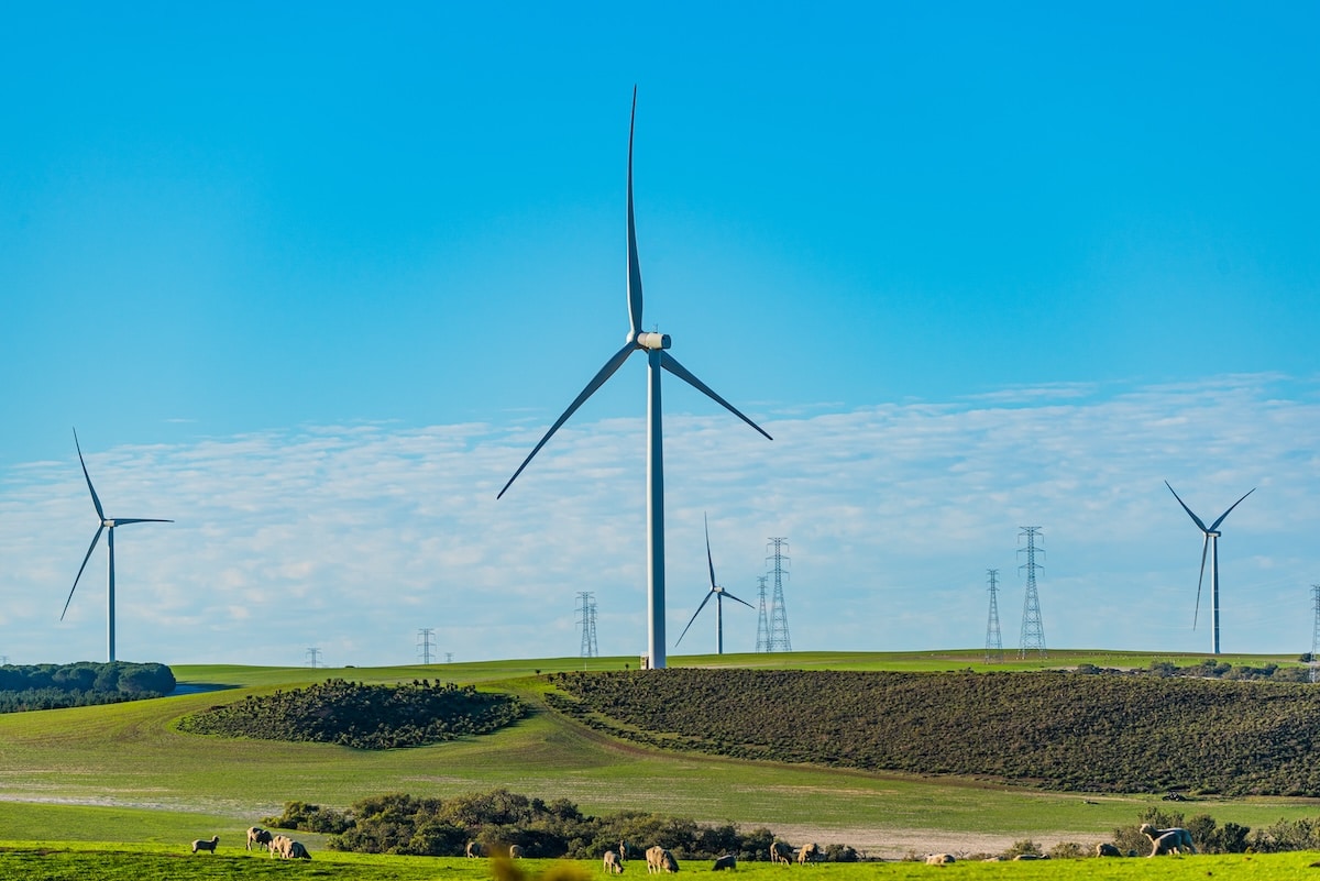 WA selected for first TAFE Clean Energy Skills National Centre of Excellence - Vimarsana News