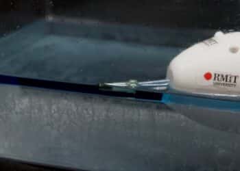 Image: RMIT University