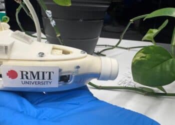 Image: Will Wright - RMIT
